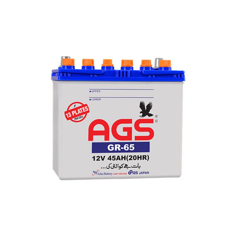 AGS GR 65 45 AH & 13 Plates