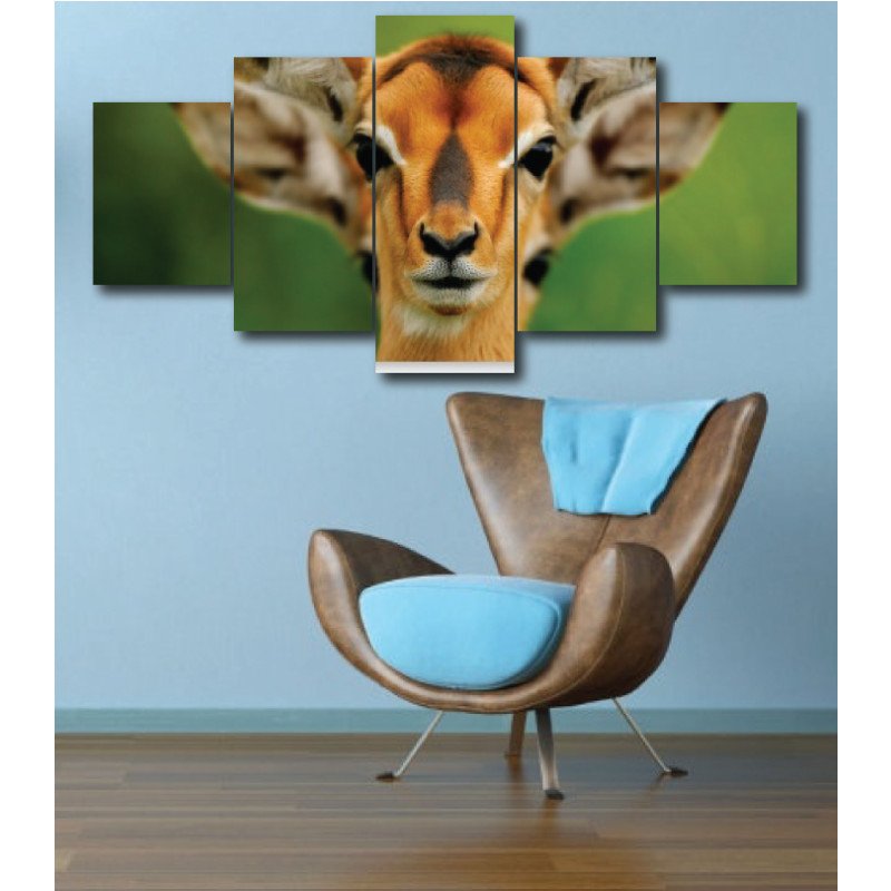 Wall Frames 5 Pieces Set Canvas - Digitally Printed Wall Canvas  post-291 view 1