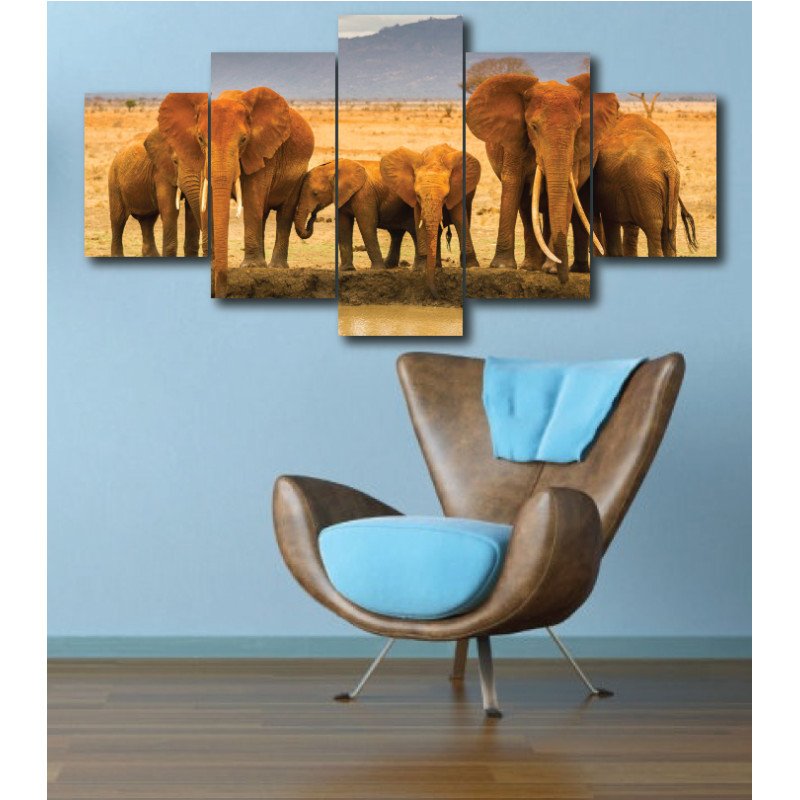 Wall Frames 5 Pieces Set Canvas - Digitally Printed Wall Canvas  post-300 view 1