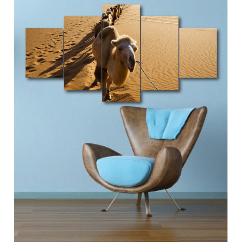 Wall Frames 5 Pieces Set Canvas - Digitally Printed Wall Canvas  post-323 view 1