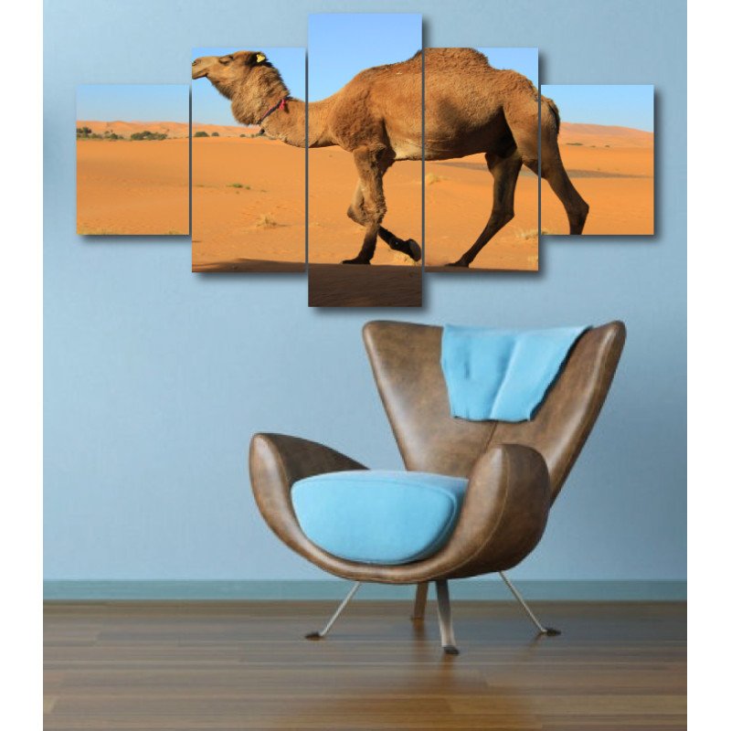 Wall Frames 5 Pieces Set Canvas - Digitally Printed Wall Canvas  post-328 view 1