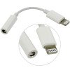 Apple Lightning Headphone Jack Adapter view