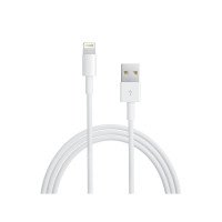 Apple Lightning to USB Cable 2M