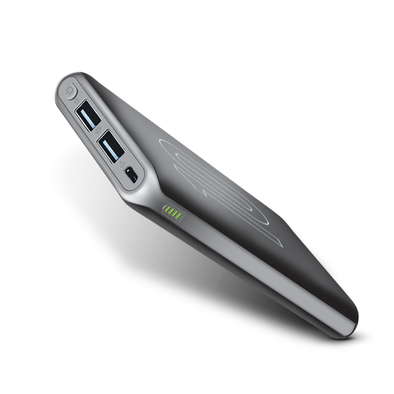 Dany Alpha X-110 10000 mAh Power Bank