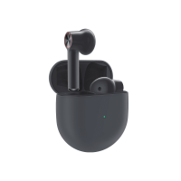 One Plus Buds Grey