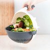 Vegetable Cutter view