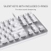 Razer BlackWidow Lite Mechanical Gaming Keyboard - US - Mercury - RZ03-02640700-R3M1 view