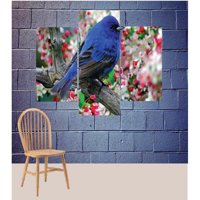 Wall Frames 3 Pieces Set Canvas – Digitally Printed Wall Canvas TJ-193